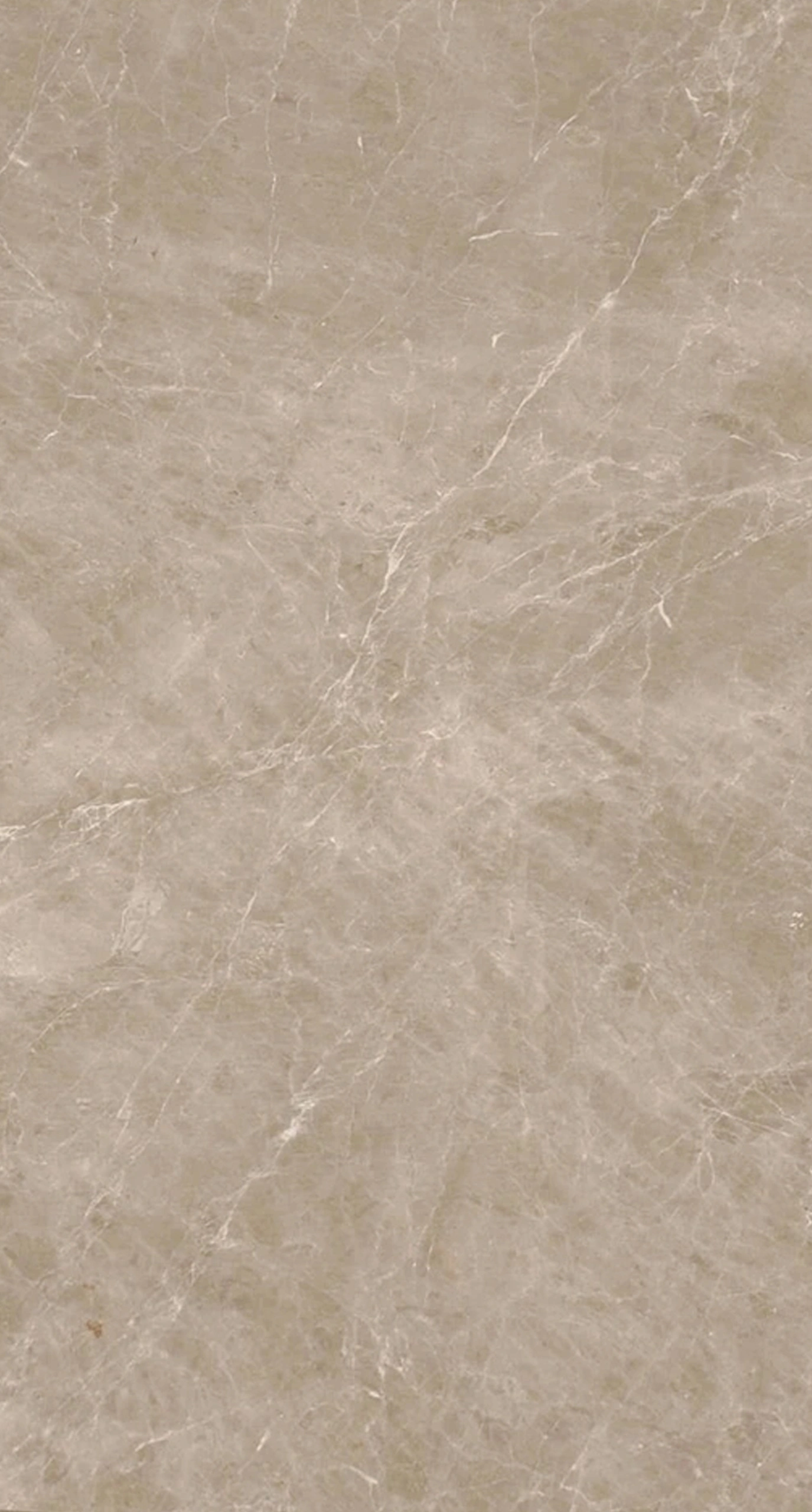 Beige Marble Detail